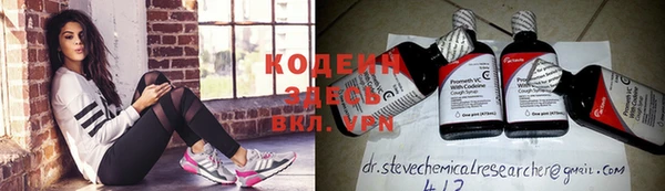 индика Богородицк
