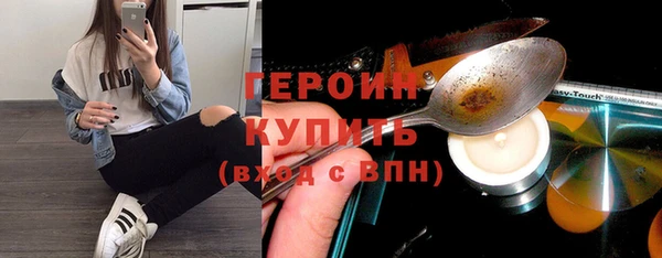 индика Богородицк