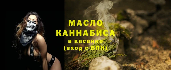 индика Богородицк