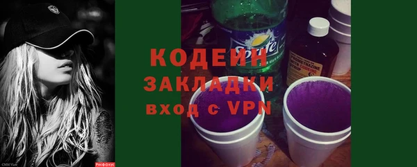 индика Богородицк