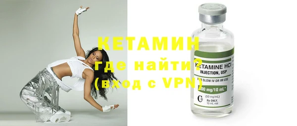индика Богородицк