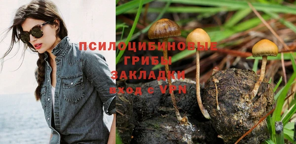 индика Богородицк