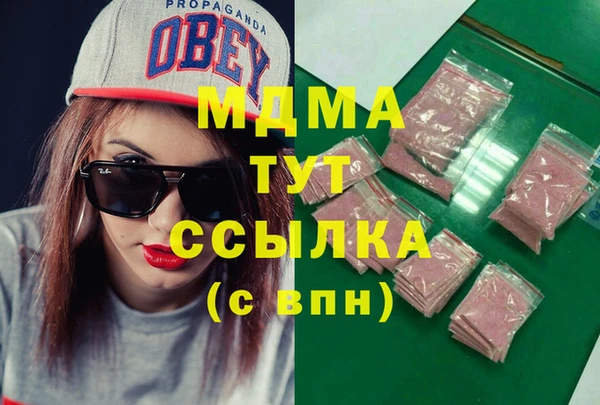 индика Богородицк