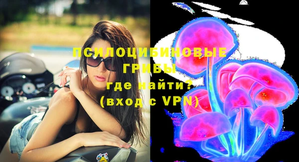 прущая мука Богородск