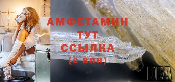 индика Богородицк