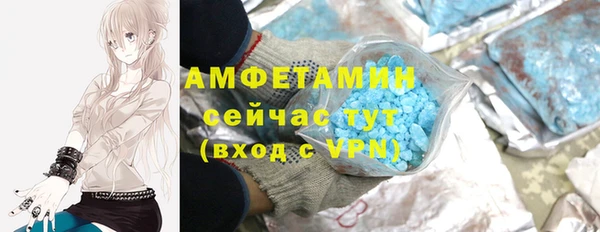 индика Богородицк