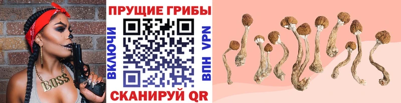Псилоцибиновые грибы мухоморы  Верхняя Пышма 