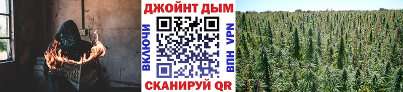 Шишки марихуана OG Kush  Верхняя Пышма 